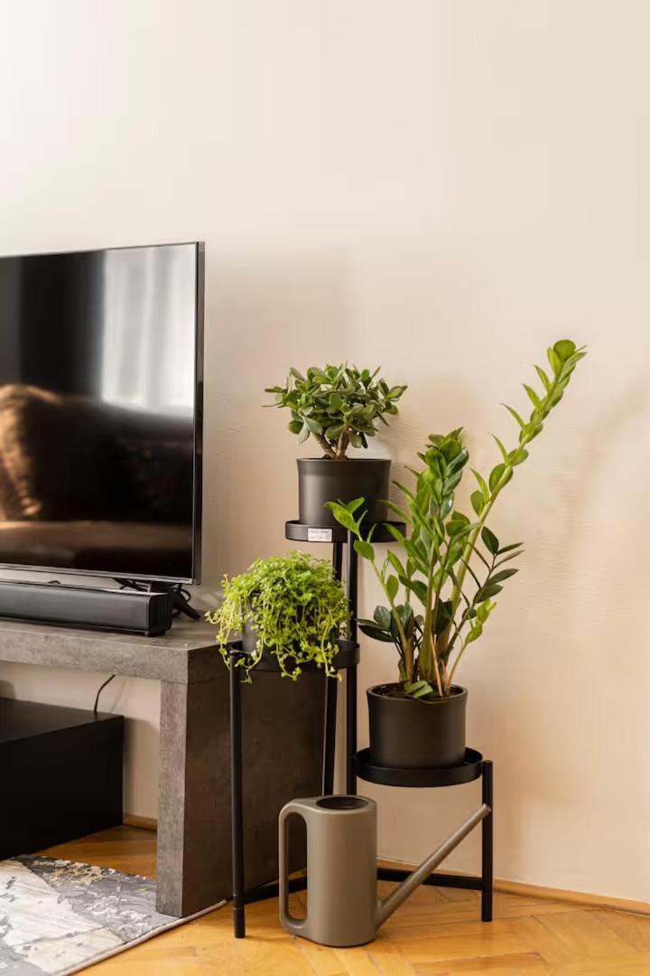 Luxury In Vaclavske Namesti Apartament *